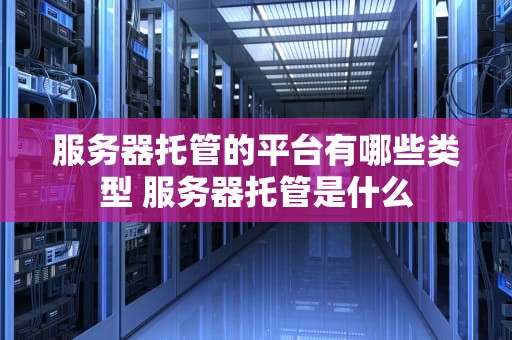 服务器托管的平台有哪些类型 服务器托管是什么
