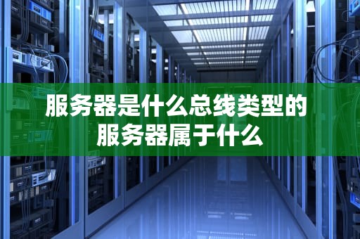 服务器是什么总线类型的 服务器属于什么