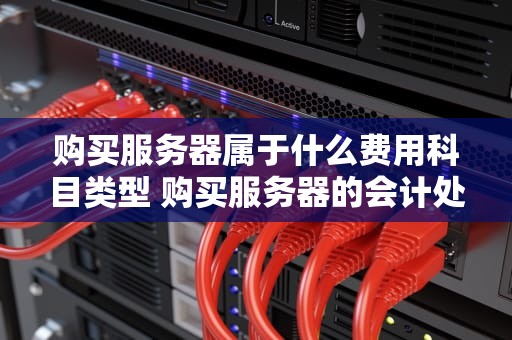 购买服务器属于什么费用科目类型 购买服务器的会计处理