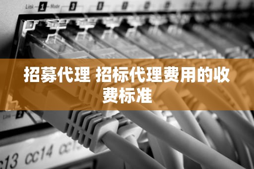 招募代理 招标代理费用的收费标准