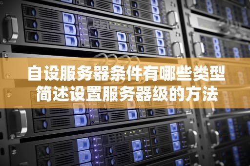 自设服务器条件有哪些类型 简述设置服务器级的方法