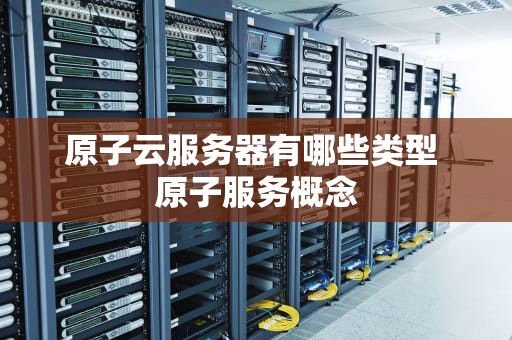原子云服务器有哪些类型 原子服务概念