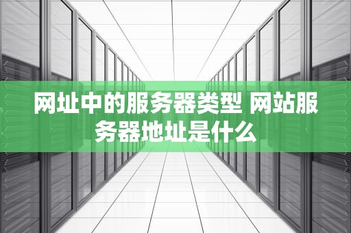 网址中的服务器类型 网站服务器地址是什么