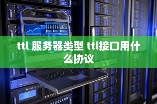 ttl 服务器类型 ttl接口用什么协议
