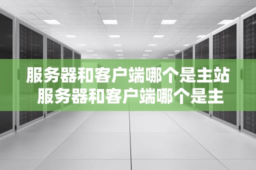 服务器和客户端哪个是主站 服务器和客户端哪个是主站端