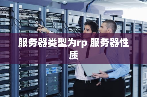 服务器类型为rp 服务器性质