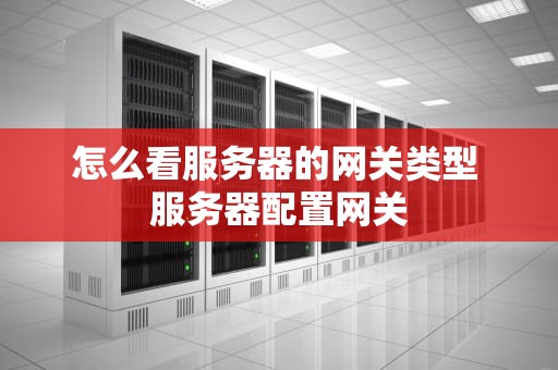 怎么看服务器的网关类型 服务器配置网关