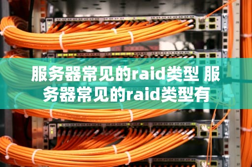 服务器常见的raid类型 服务器常见的raid类型有