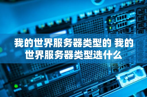 我的世界服务器类型的 我的世界服务器类型选什么
