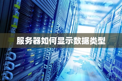 服务器如何显示数据类型
