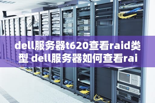 dell服务器t620查看raid类型 dell服务器如何查看raid