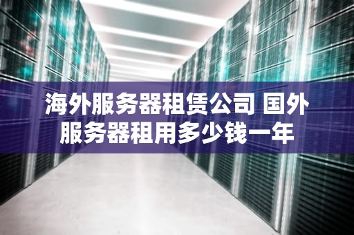 海外服务器租赁公司 国外服务器租用多少钱一年