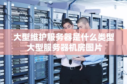 大型维护服务器是什么类型 大型服务器机房图片
