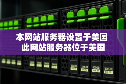 本网站服务器设置于美国 此网站服务器位于美国