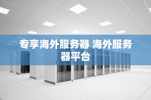 专享海外服务器 海外服务器平台