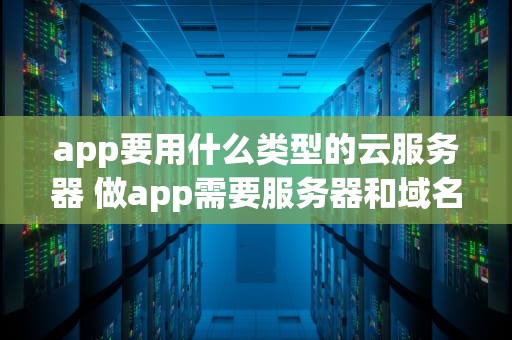 app要用什么类型的云服务器 做app需要服务器和域名吗