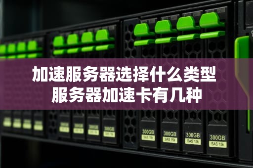 加速服务器选择什么类型 服务器加速卡有几种