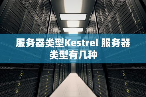 服务器类型Kestrel 服务器类型有几种