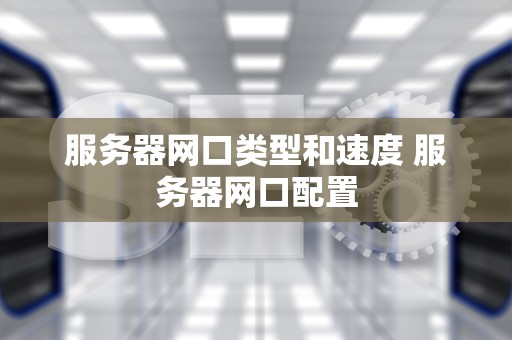 服务器网口类型和速度 服务器网口配置