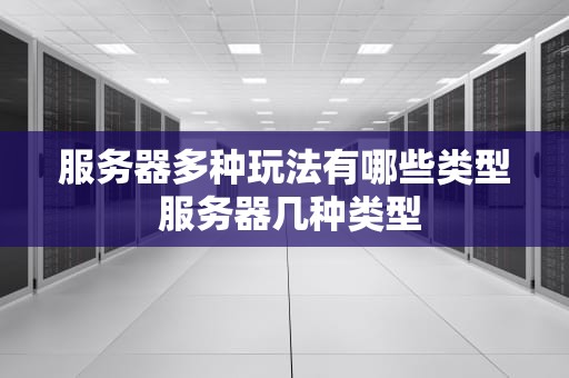 服务器多种玩法有哪些类型 服务器几种类型