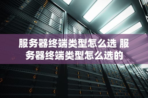 服务器终端类型怎么选 服务器终端类型怎么选的