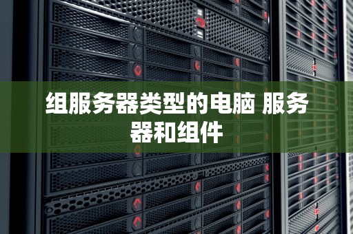 组服务器类型的电脑 服务器和组件