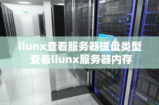 liunx查看服务器磁盘类型 查看liunx服务器内存