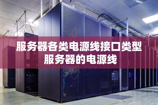 服务器各类电源线接口类型 服务器的电源线