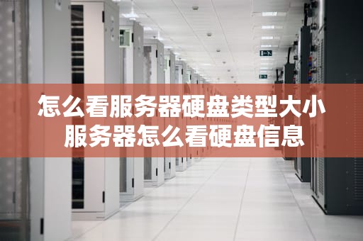 怎么看服务器硬盘类型大小 服务器怎么看硬盘信息
