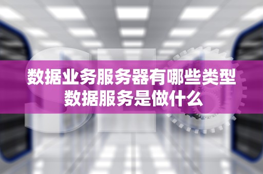 数据业务服务器有哪些类型 数据服务是做什么