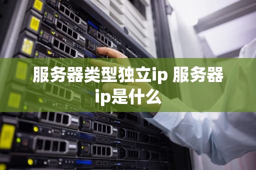 服务器类型独立ip 服务器ip是什么