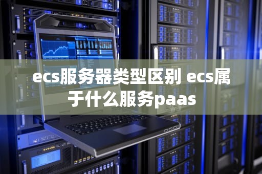 ecs服务器类型区别 ecs属于什么服务paas