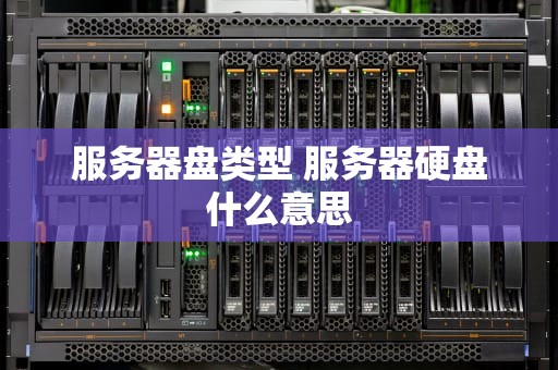 服务器盘类型 服务器硬盘什么意思