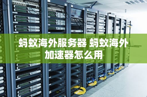 蚂蚁海外服务器 蚂蚁海外加速器怎么用