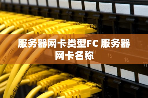 服务器网卡类型FC 服务器网卡名称