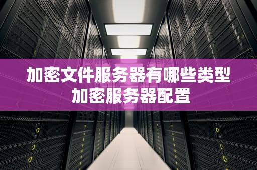 加密文件服务器有哪些类型 加密服务器配置