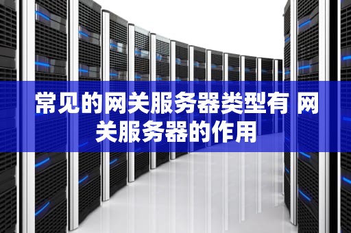 常见的网关服务器类型有 网关服务器的作用