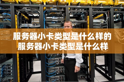 服务器小卡类型是什么样的 服务器小卡类型是什么样的啊