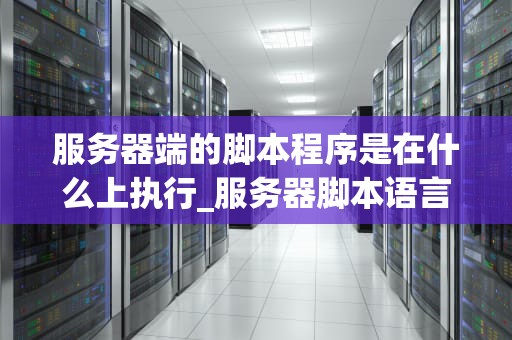 服务器端的脚本程序是在什么上执行_服务器脚本语言是什么_服务器端的脚本程序在什么上执行