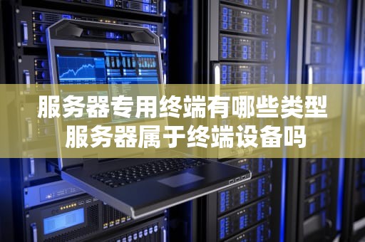 服务器专用终端有哪些类型 服务器属于终端设备吗