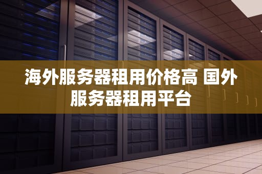 海外服务器租用价格高 国外服务器租用平台