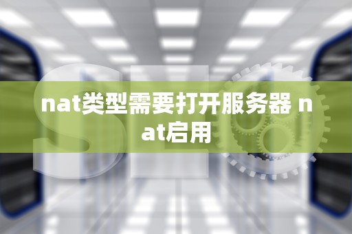 nat类型需要打开服务器 nat启用
