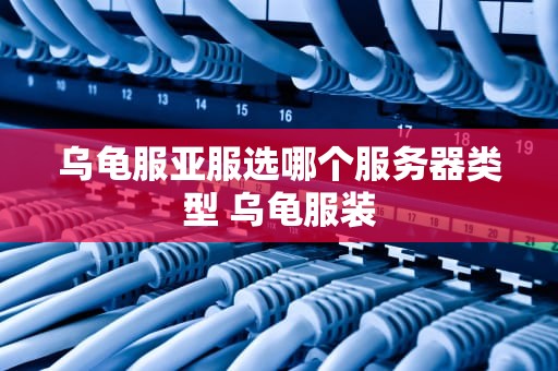 乌龟服亚服选哪个服务器类型 乌龟服装