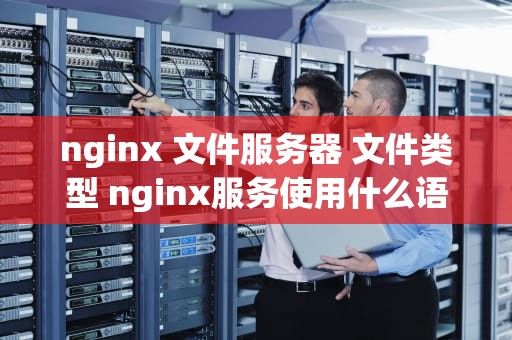 nginx 文件服务器 文件类型 nginx服务使用什么语言编写
