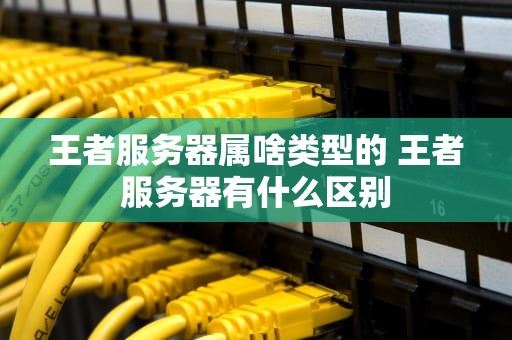 王者服务器属啥类型的 王者服务器有什么区别