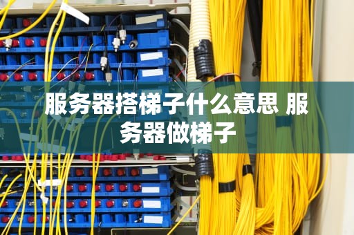 服务器搭梯子什么意思 服务器做梯子