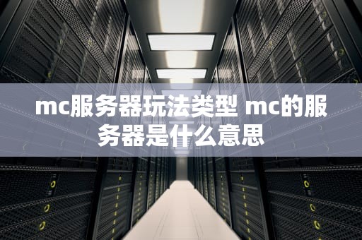 mc服务器玩法类型 mc的服务器是什么意思