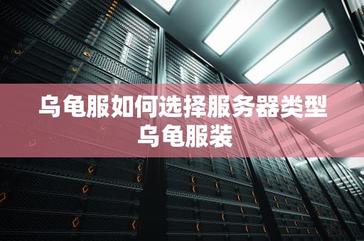 乌龟服如何选择服务器类型 乌龟服装