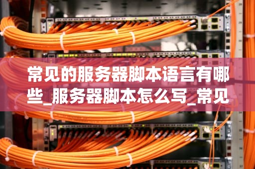 常见的服务器脚本语言有哪些_服务器脚本怎么写_常见的服务器脚本语言及其应用