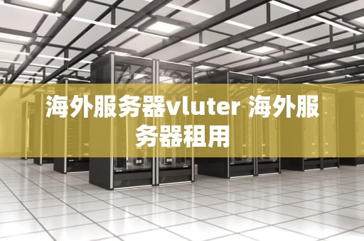 海外服务器vluter 海外服务器租用